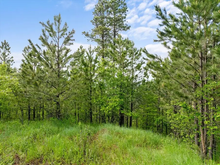 Lot 17 Green Mountain Court, Spearfish, SD 57783 - #2