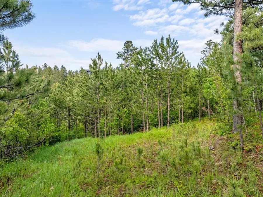 Lot 17 Green Mountain Court, Spearfish, SD 57783 - #3
