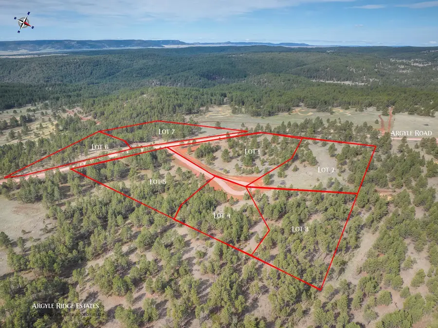 Lot 6 Argyle Road, Hot Springs, SD 57747 - #3