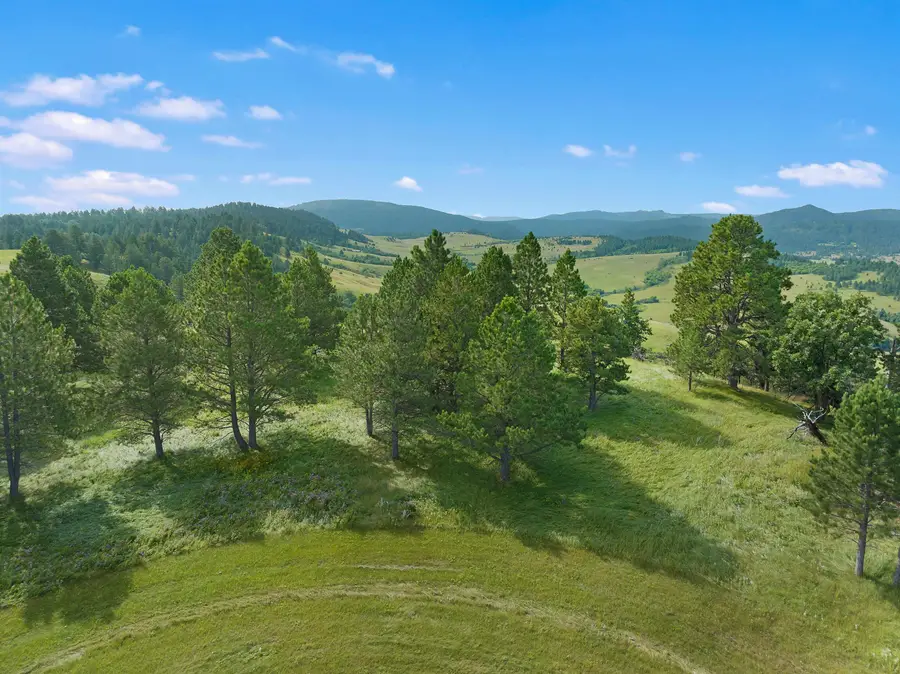 Lot 4 Three Peaks Pass, Whitewood, SD 57793 - Image #2