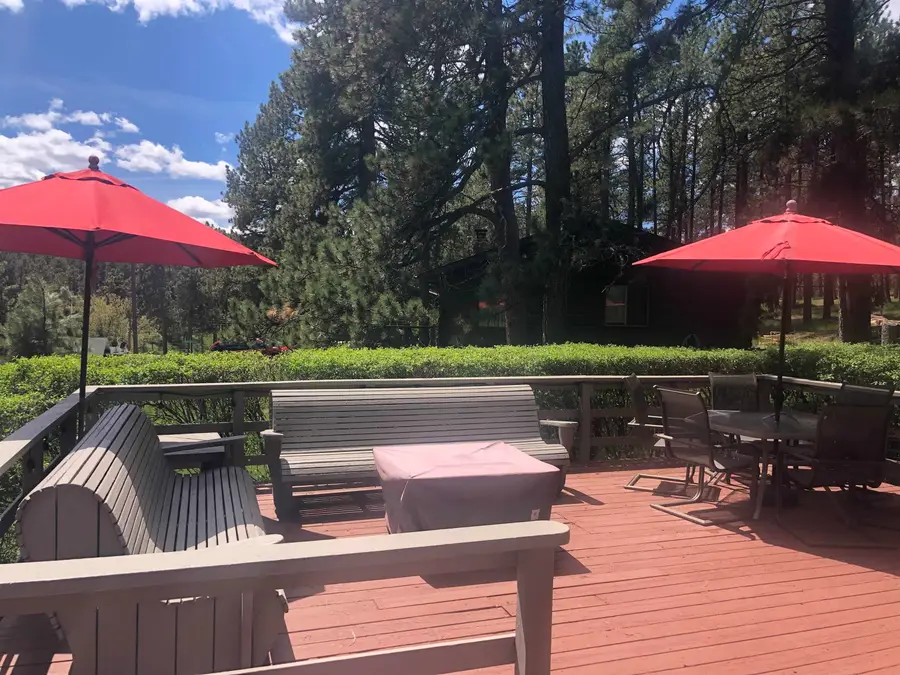 12776 Black Forest Road, Rapid City, SD 57702 - #3