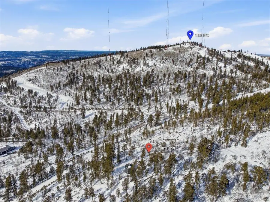TBD Terry Peak Summit Rd, Lead, SD 57754 - #3