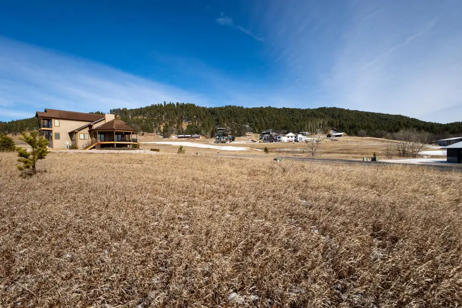 Lot 1 Block 10 Wildberger Road, Sturgis, SD 57785 - #3