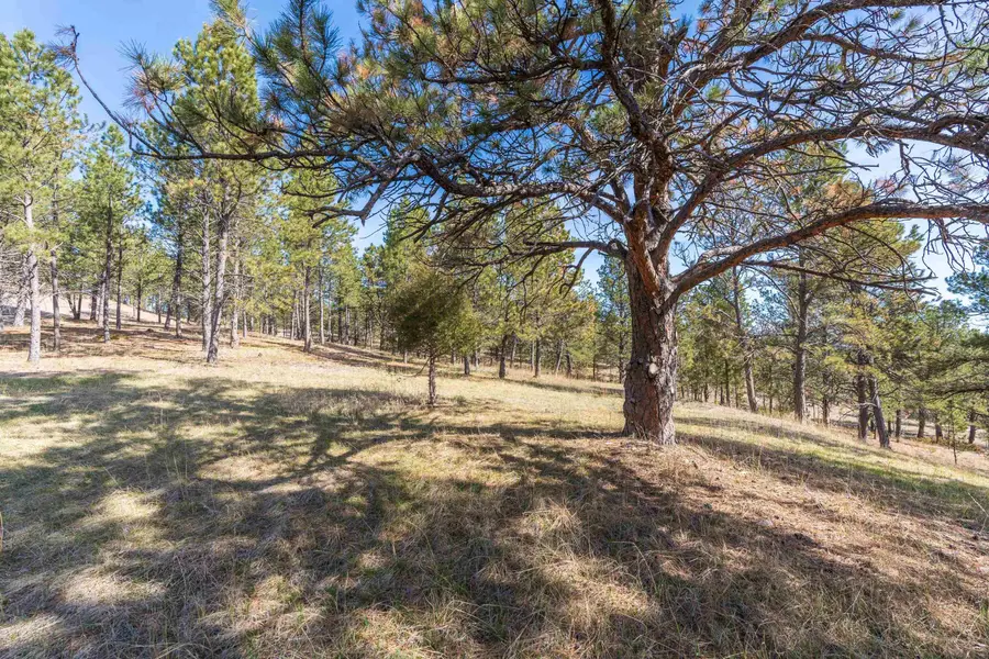 Lot 6B Saddle Ridge Road, Hermosa, SD 57744 - #3