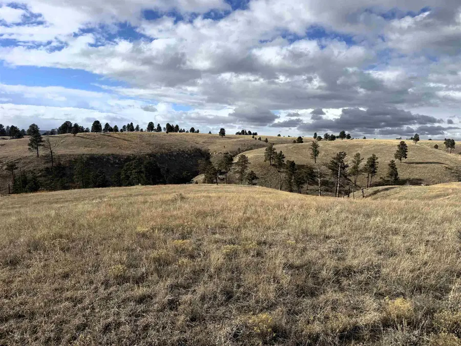 165 Gruenhagen Road, Pine Haven, WY 82721 - #2