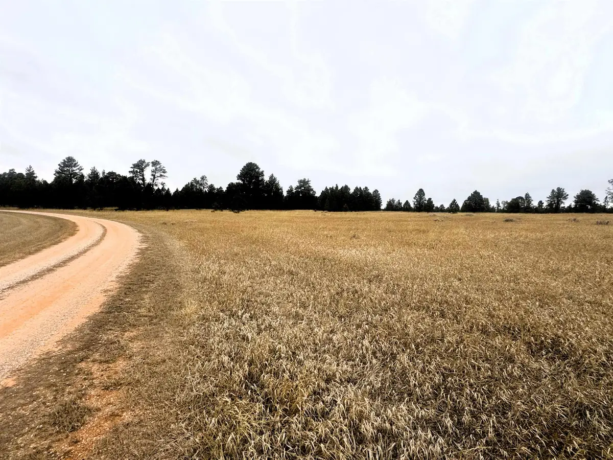 9 Colt Trail, Sundance, WY 82729 - #1