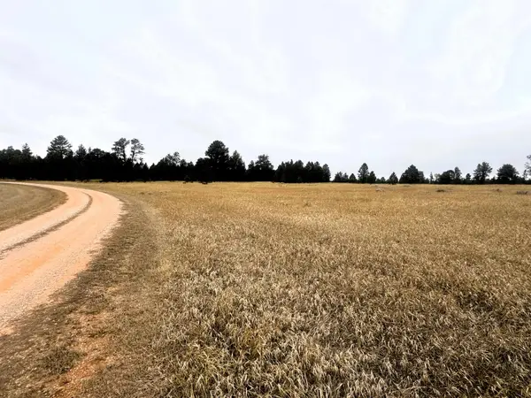 9 Colt Trail, Sundance, WY 82729