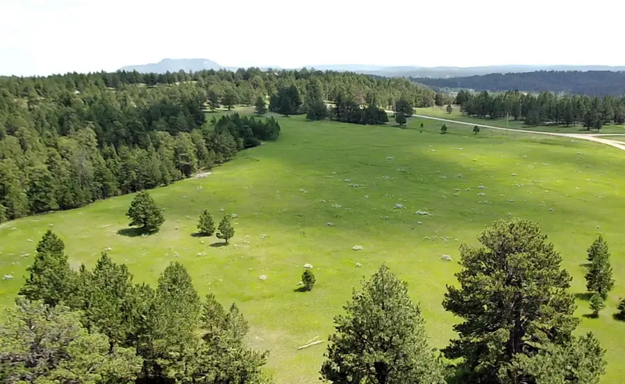 9 Colt Trail, Sundance, WY 82729 - #3