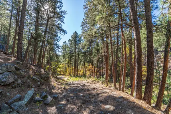 Lot 4 Old Hill City Road, Keystone, SD 57751