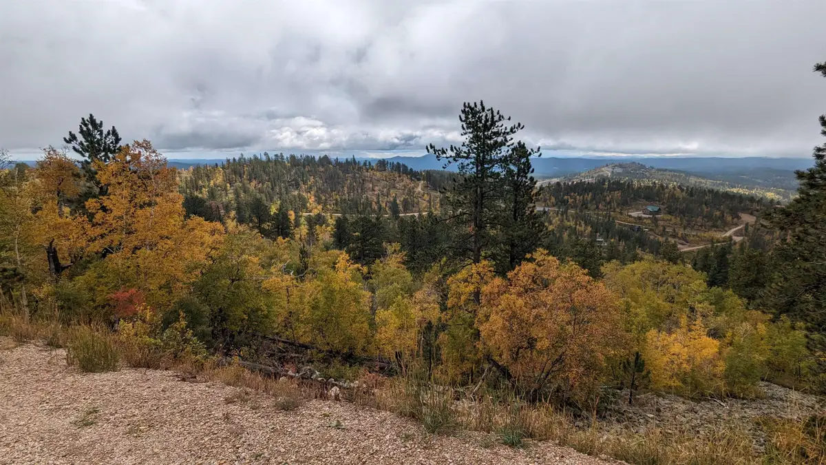 Prodigal Son LD Terry Summit Road, Lead, SD 57754 - #1