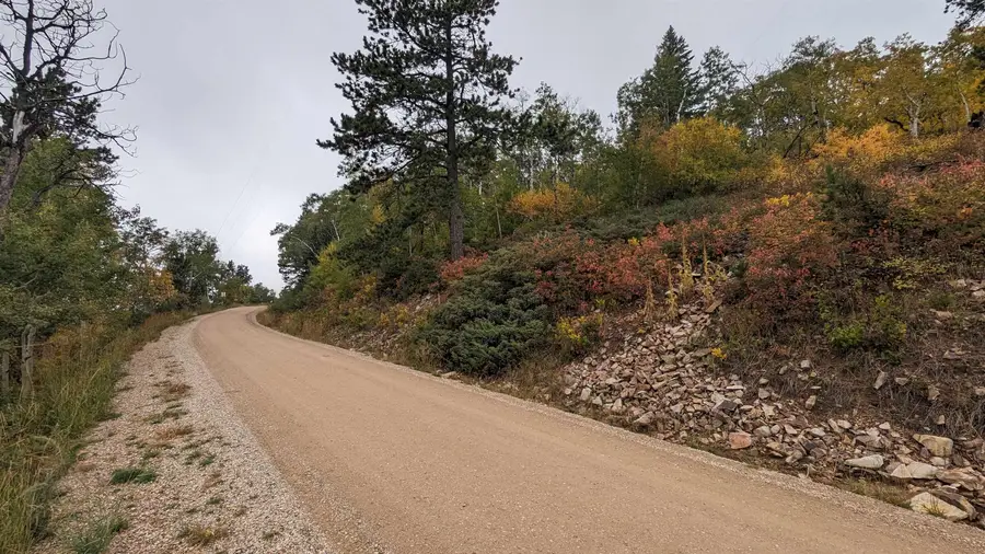 Prodigal Son LD Terry Summit Road, Lead, SD 57754 - #2