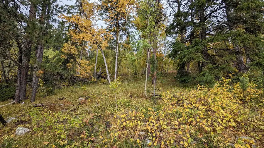 Prodigal Son LD Terry Summit Road, Lead, SD 57754 - #3