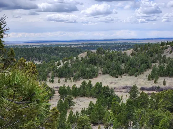 55 Two Pipe Trail, Sundance, WY 82729