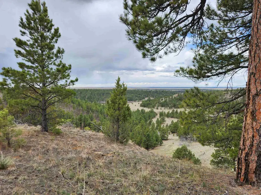 55 Two Pipe Trail, Sundance, WY 82729 - #3
