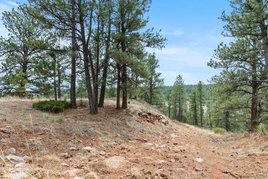 13859 Melvin Road, East Custer, SD 57744 - #2