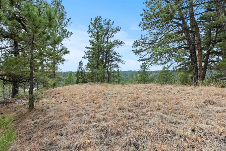 13859 Melvin Road, East Custer, SD 57744 - #3