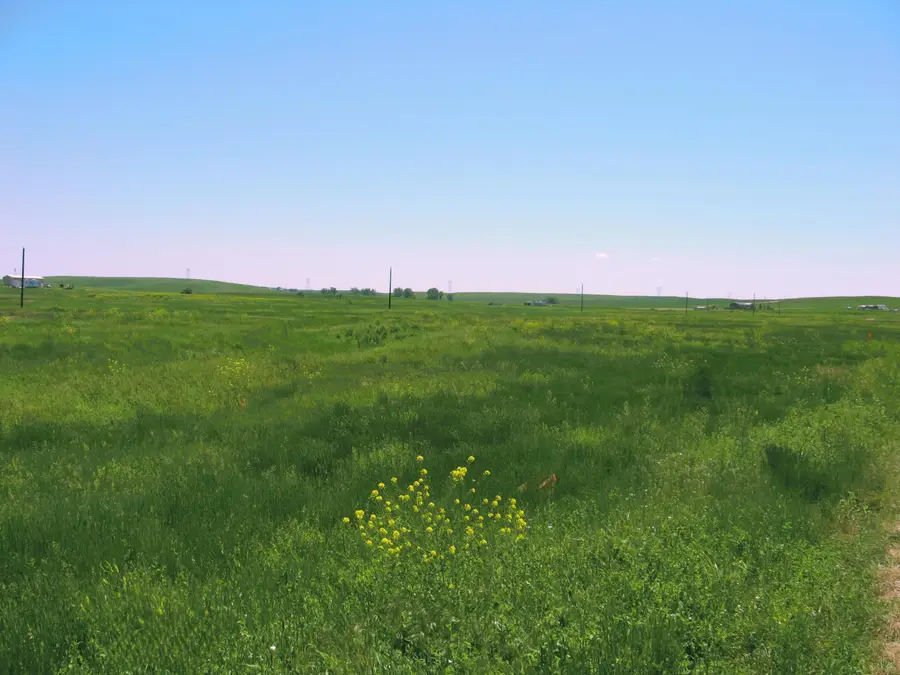 Lot 61 Gobbler Lane, Smithwick, SD 57782 - #3