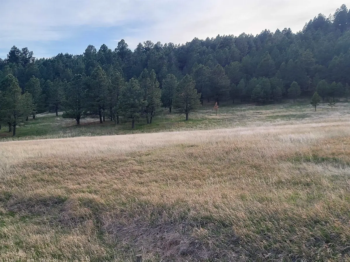TBD Lh Road, Fairburn, SD 57738 - #1