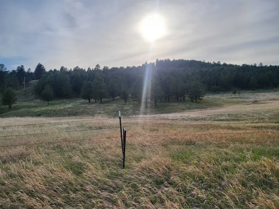 TBD Lh Road, Fairburn, SD 57738 - #3