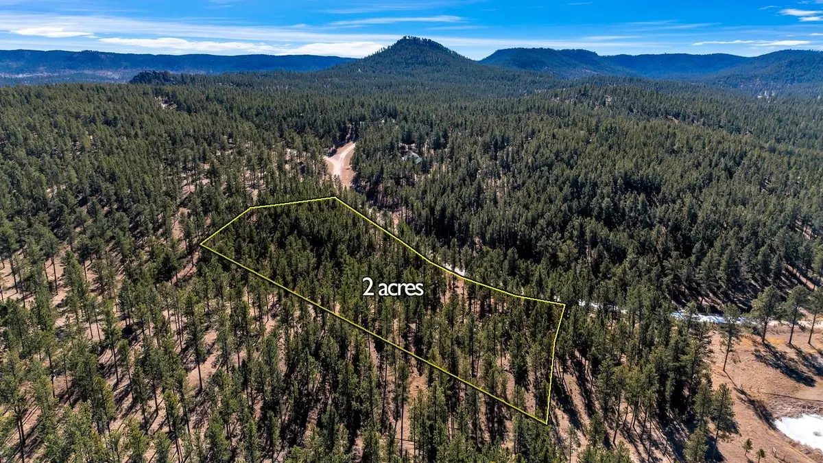 LOT 20 Caledonia Trail, Custer, SD 57730 - #1