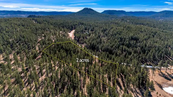 LOT 20 Caledonia Trail, Custer, SD 57730