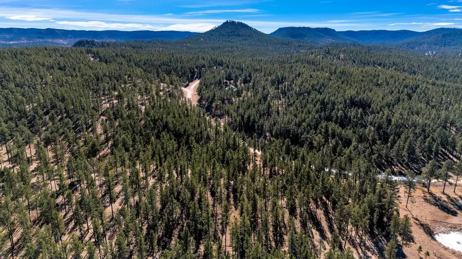 LOT 20 Caledonia Trail, Custer, SD 57730 - #2