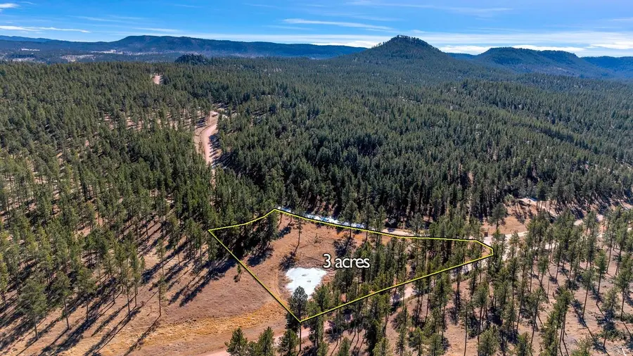 TBD LOT 1 Caledonia Trail, Custer, SD 57730 - #2
