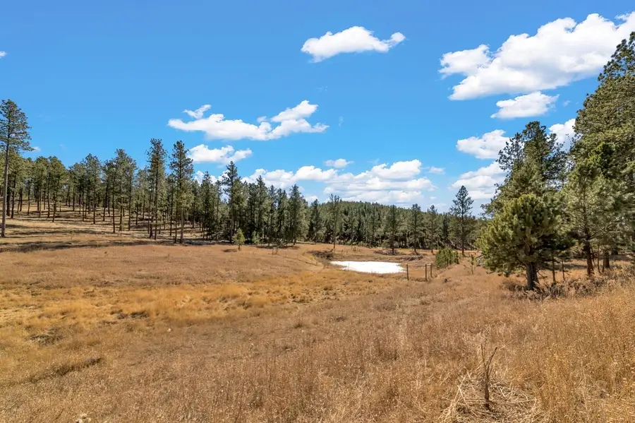 TBD LOT 1 Caledonia Trail, Custer, SD 57730 - #3