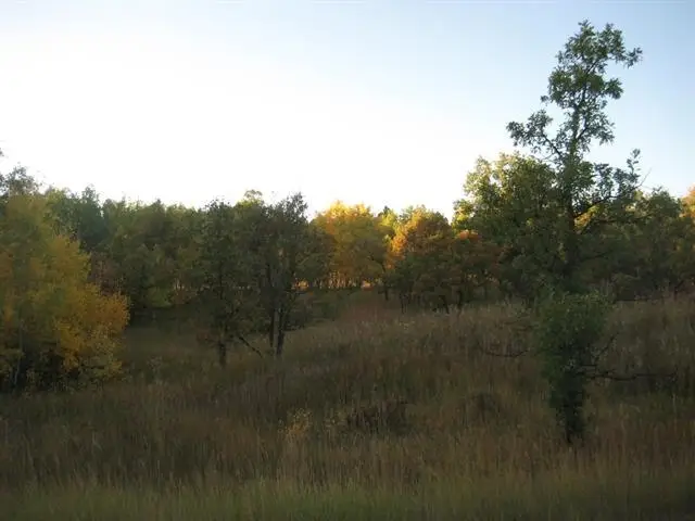 Lot 1 Lark Spur Road, Sturgis, SD 57785 - #2