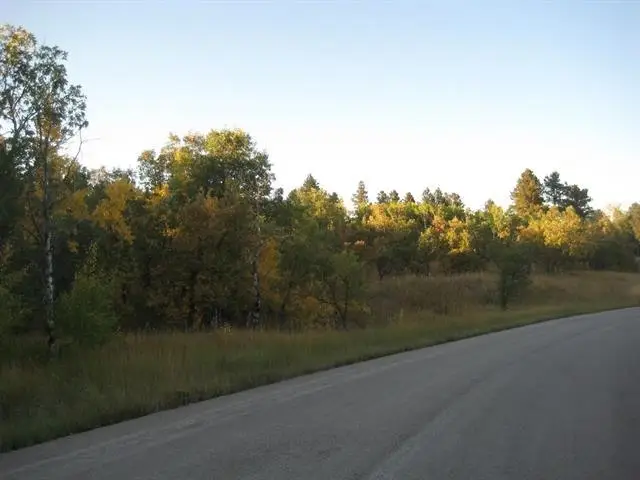 Lot 1 Lark Spur Road, Sturgis, SD 57785 - #3