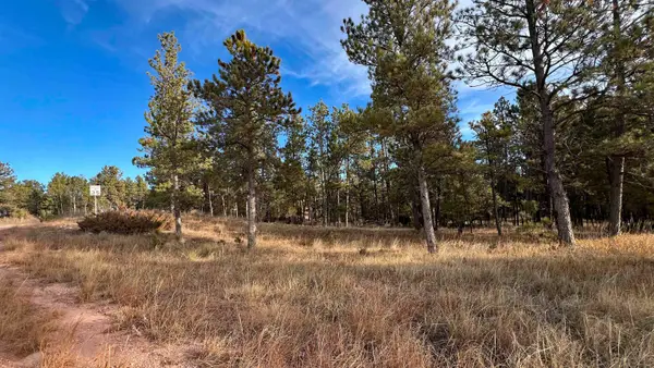 Lot 9 Argyle Road, Hot Springs, SD 57747