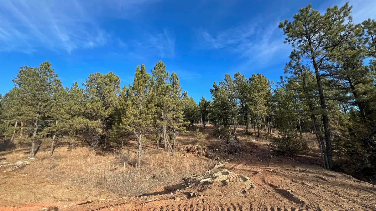 Lot 11 Northview Court, Hot Springs, SD 57747 - #1