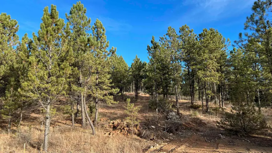 Lot 11 Northview Court, Hot Springs, SD 57747 - #2