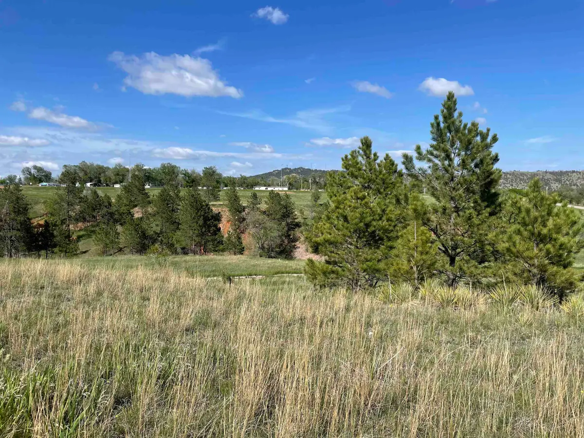 Lot 15A, Hot Springs, SD 57747 - #1