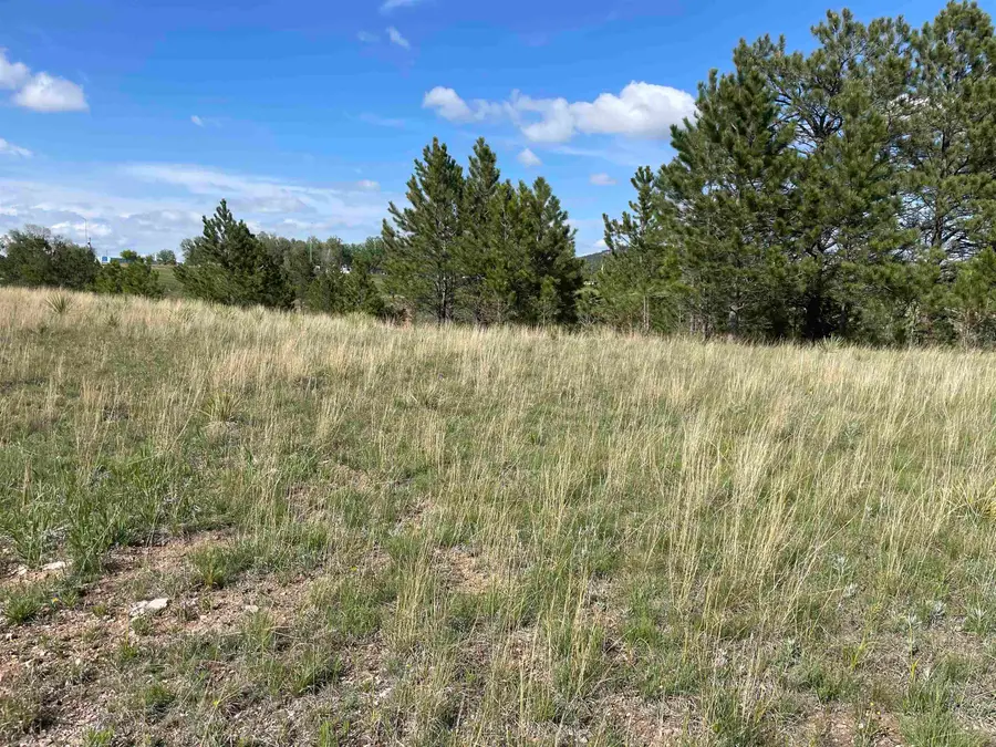 Lot 15A, Hot Springs, SD 57747 - #3