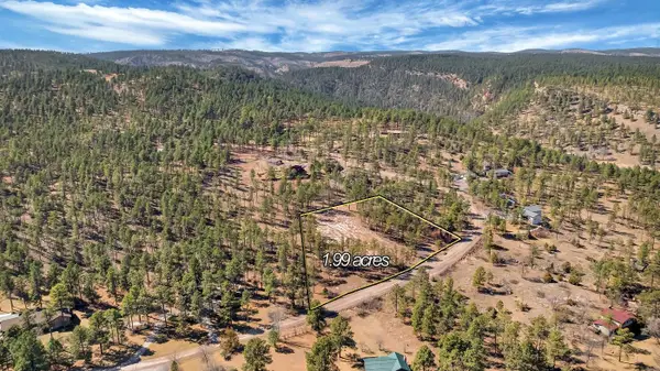 12767 Mohawk Drive, Piedmont, SD 57769