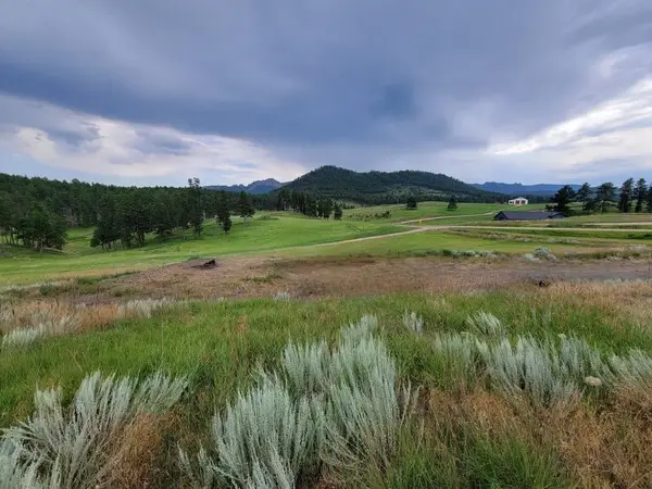 TBD Old Hill City Road, Hill City, SD 57745