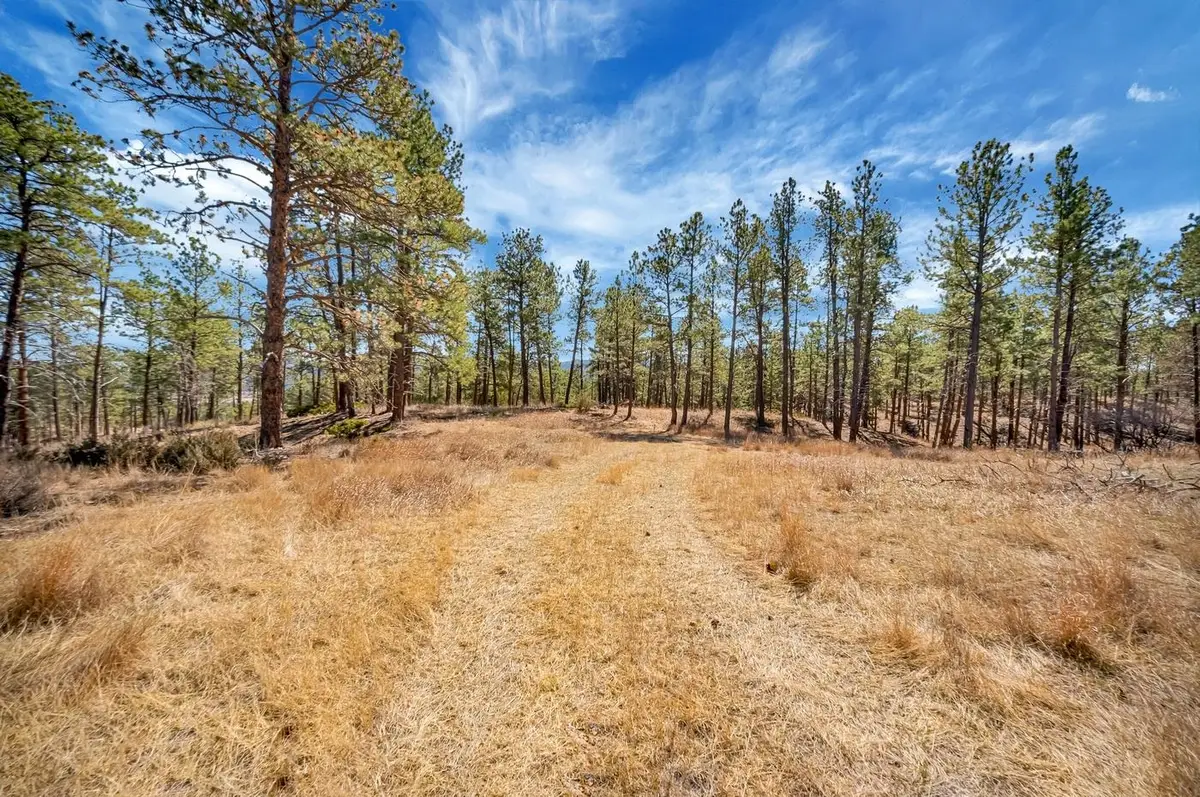TBD Lot 8 Country Club Drive, Hot Springs, SD 57747 - #1