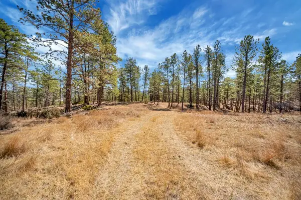 TBD Lot 8 Country Club Drive, Hot Springs, SD 57747