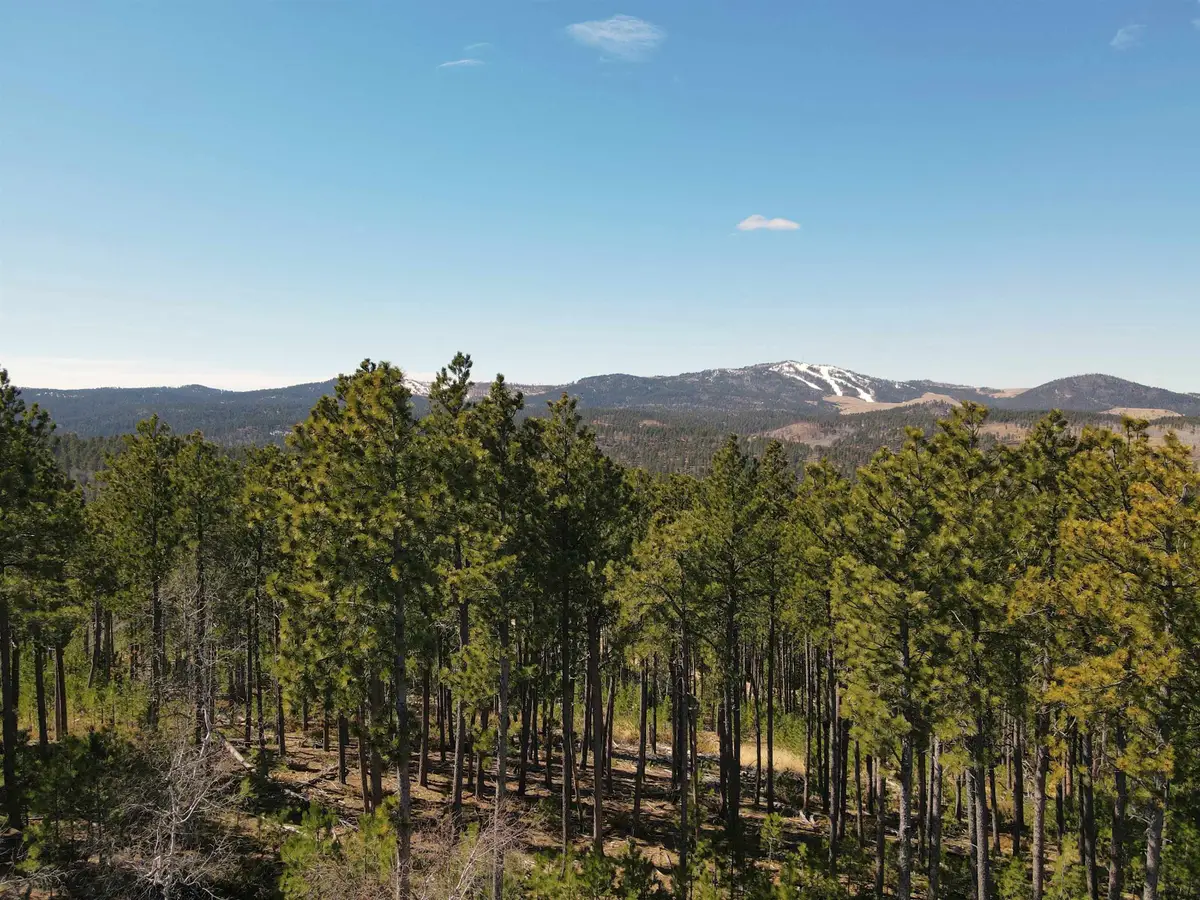 TBD Wasp Road, Lead, SD 57754 - #1