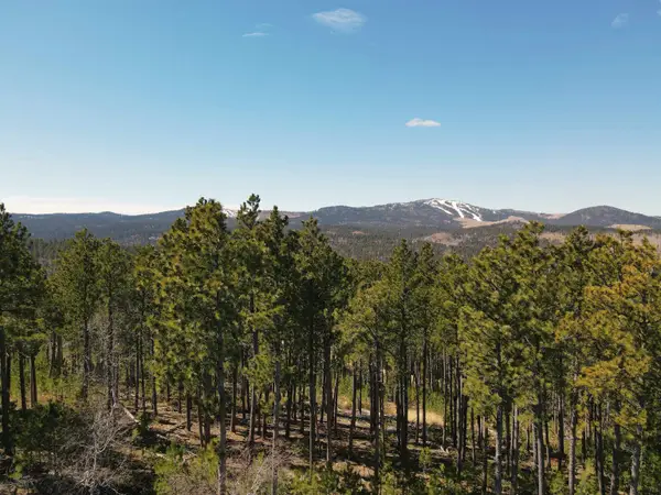 TBD Wasp Road, Lead, SD 57754