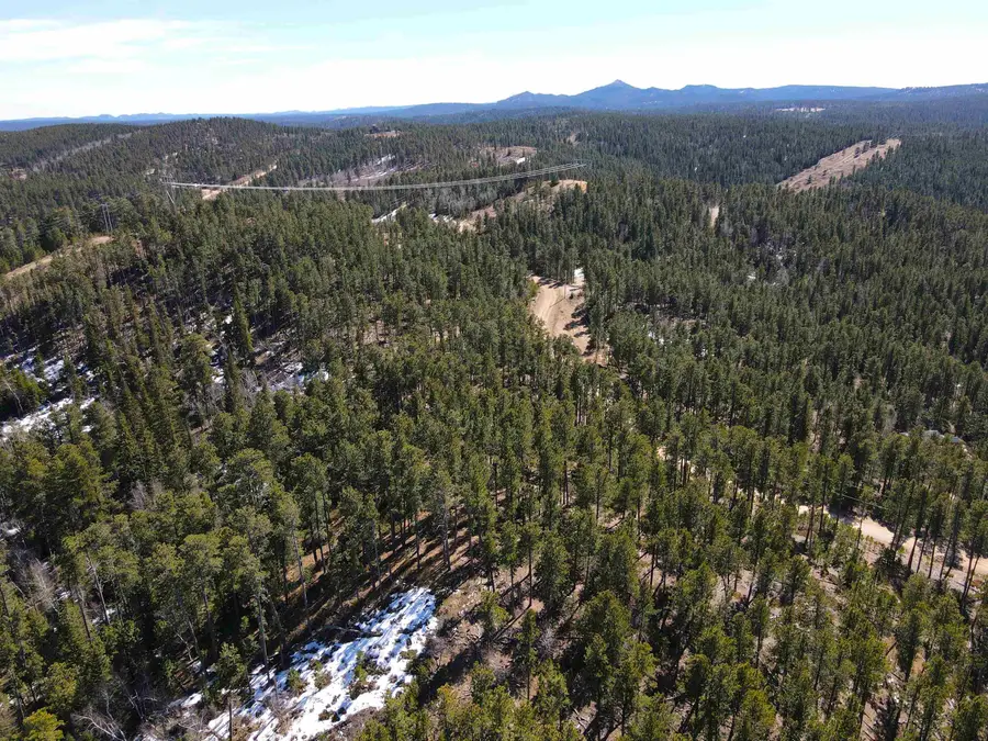 TBD Wasp Road, Lead, SD 57754 - #2