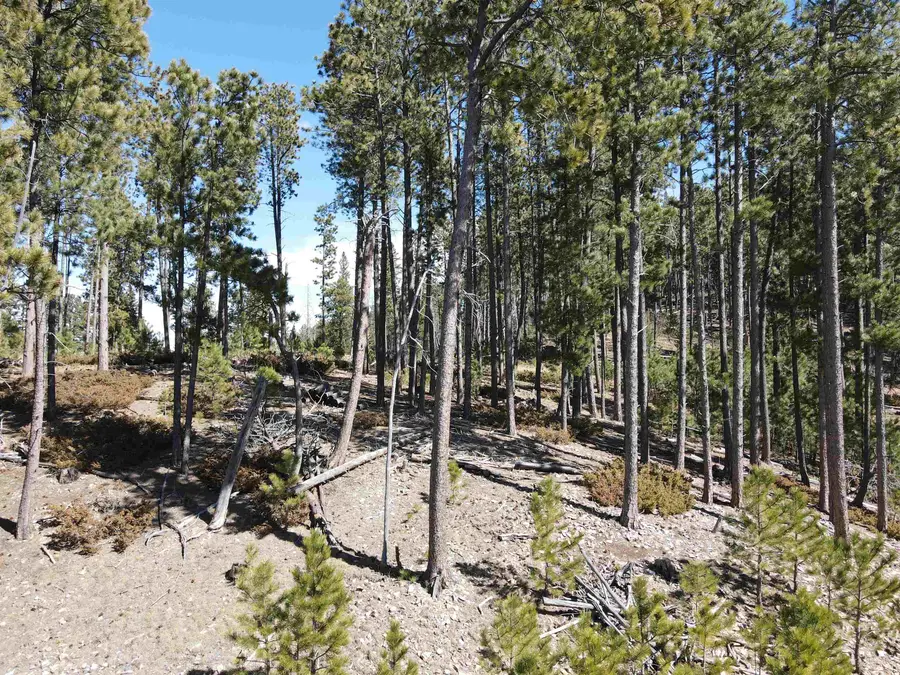 TBD Wasp Road, Lead, SD 57754 - #3