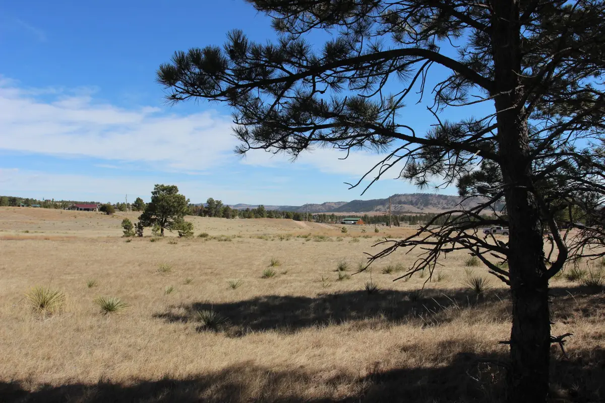 Tract 4 Lariat Circle, Hot Springs, SD 57747 - #1