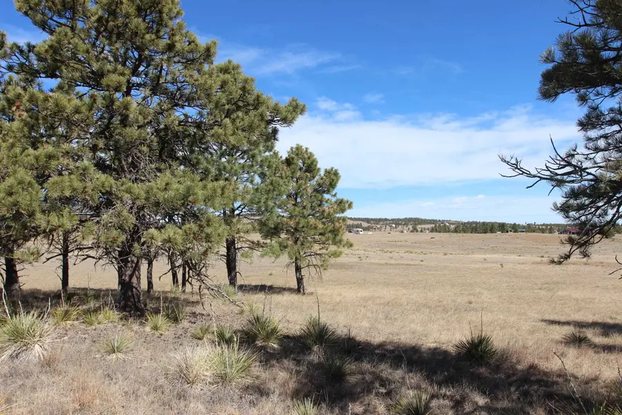 Tract 4 Lariat Circle, Hot Springs, SD 57747 - #2