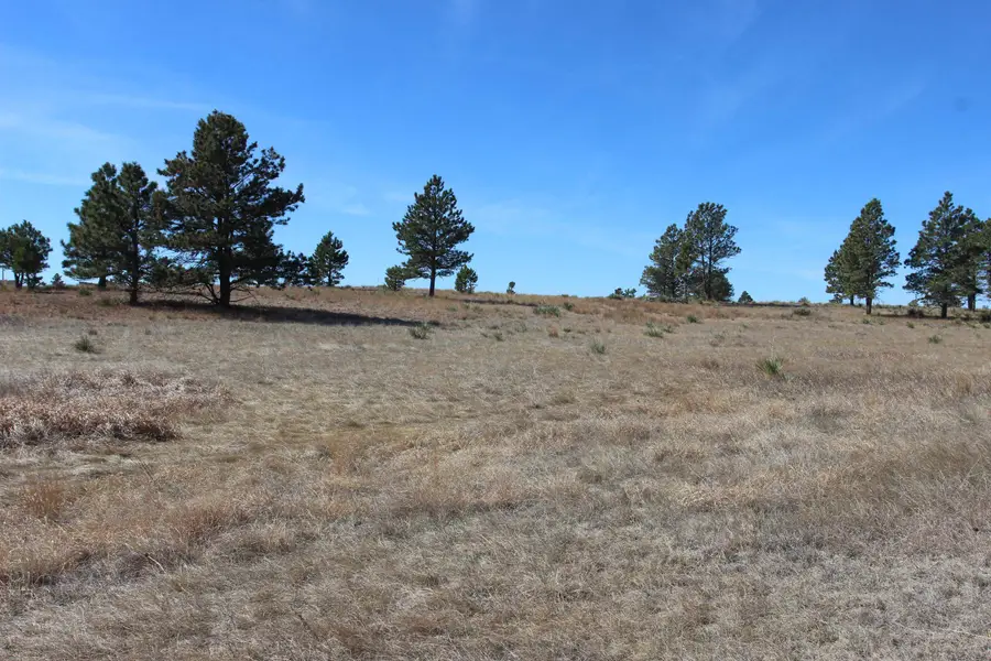 Tract 4 Lariat Circle, Hot Springs, SD 57747 - #3