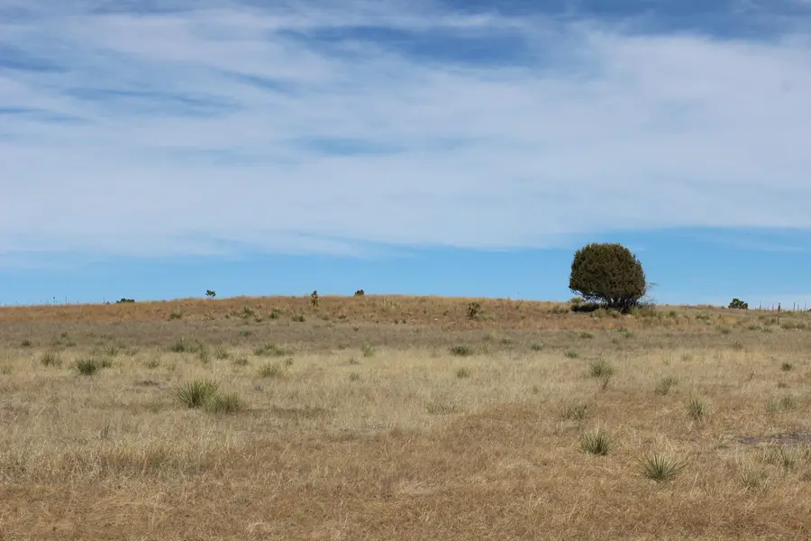 Tract 5 Lariat Circle, Hot Springs, SD 57747 - #3