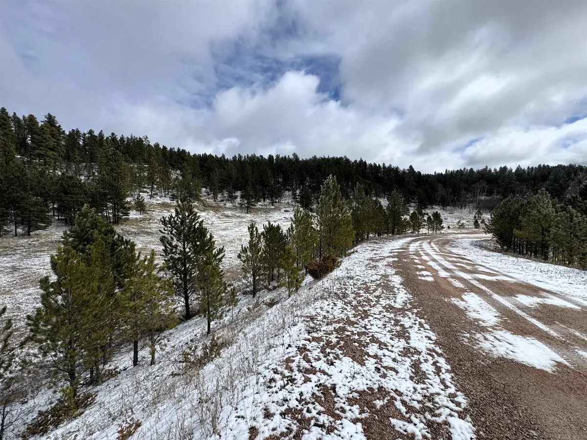 TBD Highway 85, Buckhorn, WY 82701 - #1