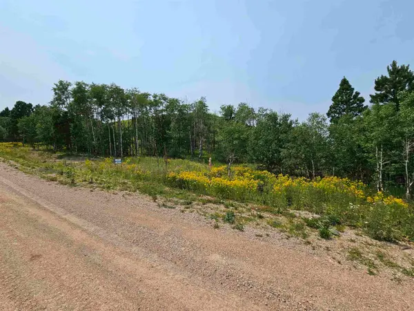 20933 Majestic Heights Road, Sturgis, SD 57785