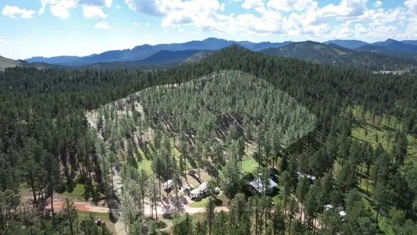 12491 S Tall Pine Road, Hill City, SD 57745